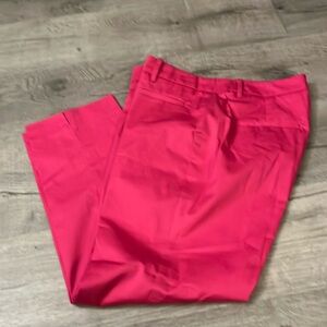 NWOT Ann Taylor pants SZ 10. Cotton Made in India